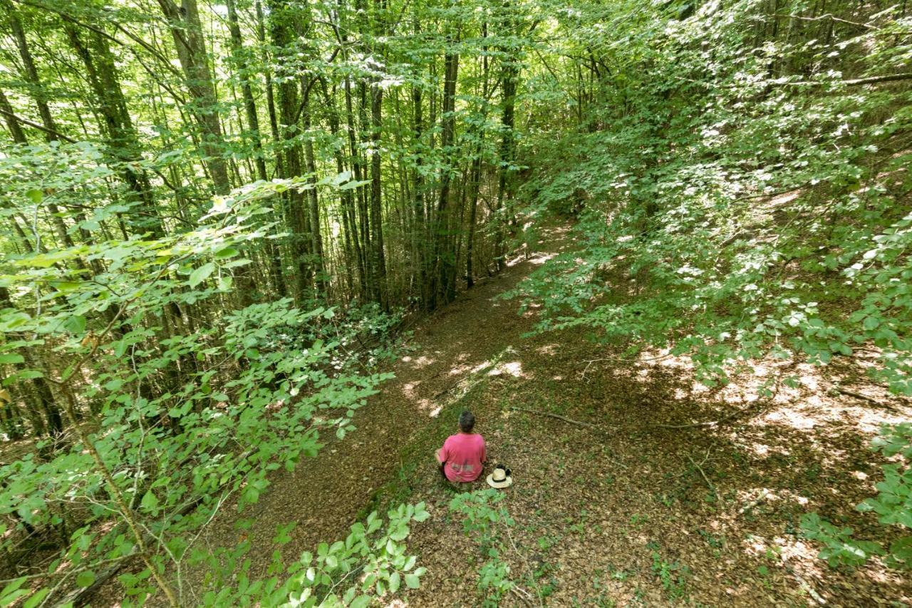 Mas Rural El Negre Vandrarhem Ogassa Exteriör bild