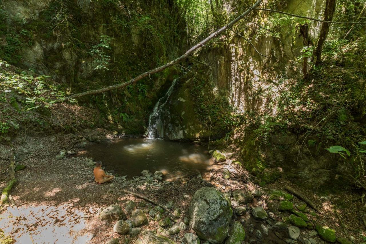 Mas Rural El Negre Vandrarhem Ogassa Exteriör bild