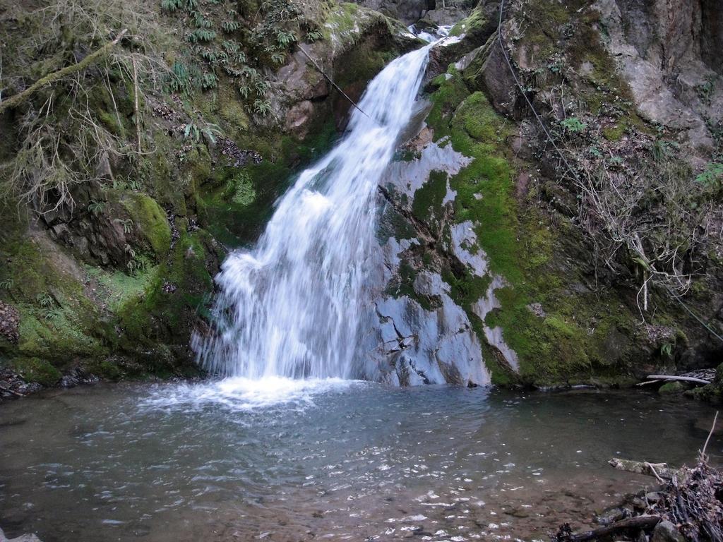 Mas Rural El Negre Vandrarhem Ogassa Exteriör bild